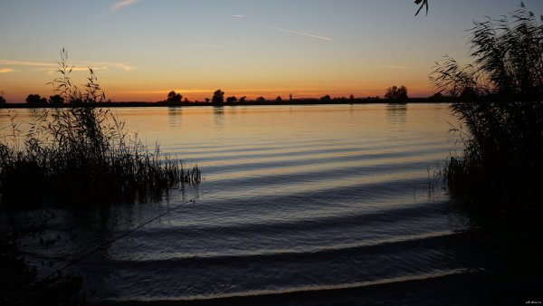 Озеро лотосов Галкино