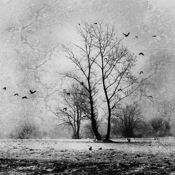 Тоскливый пейзаж