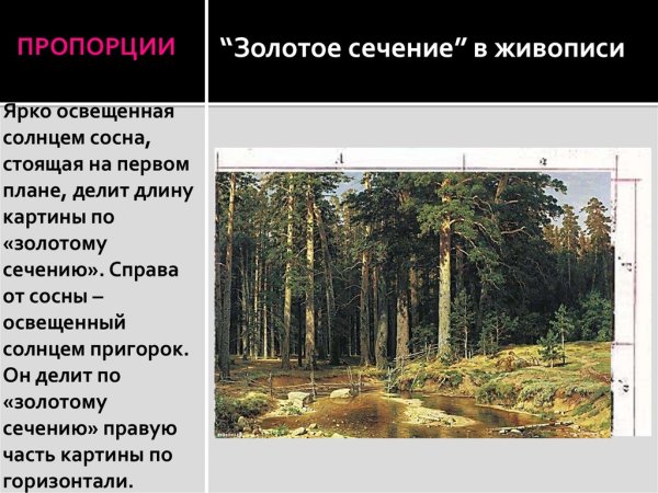 Первый план картины