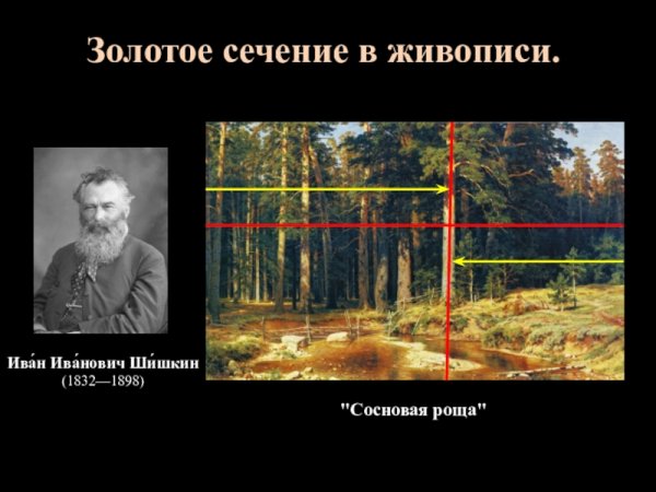 Золотое сечение спираль Леонардо да Винчи