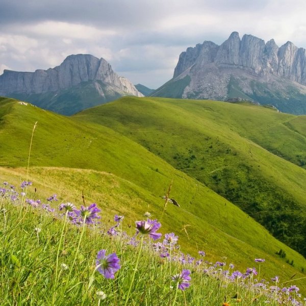 Горы Кавказа в Республике Адыгея