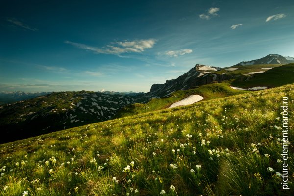 Адыгея плато Лагонаки весной
