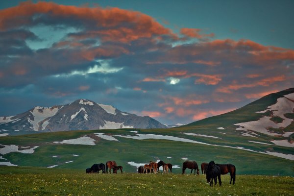 Адыгея Майкоп природа