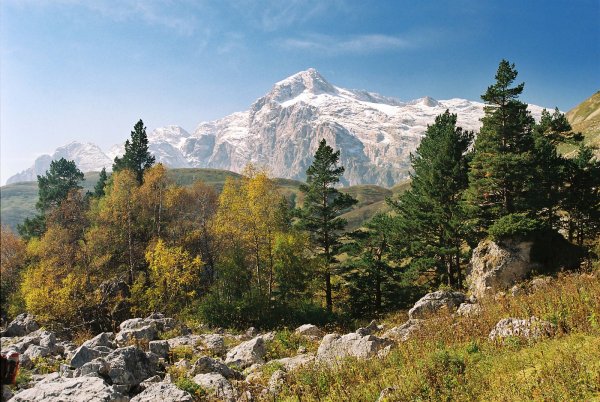 Адыгея заповедник Лагонаки