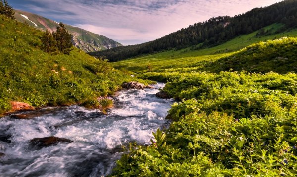 Каньон реки цица