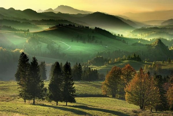 Польша природа