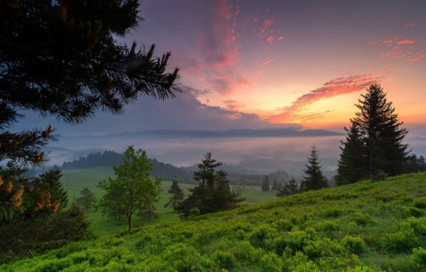 Природа вечер