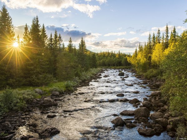 Река Левгус Карелия