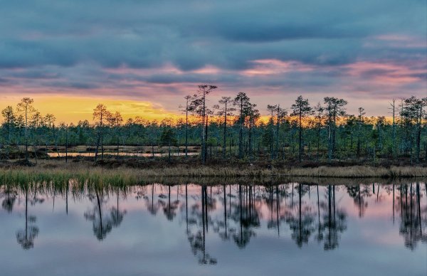 Природа ХМАО Югры