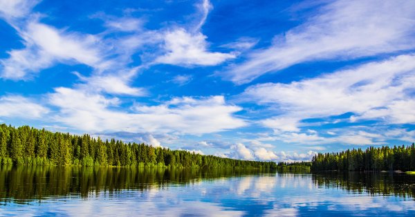 Природа округа Югра