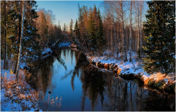 Природа Югры зимой