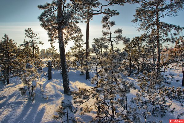Сибирь Ханты-Мансийск
