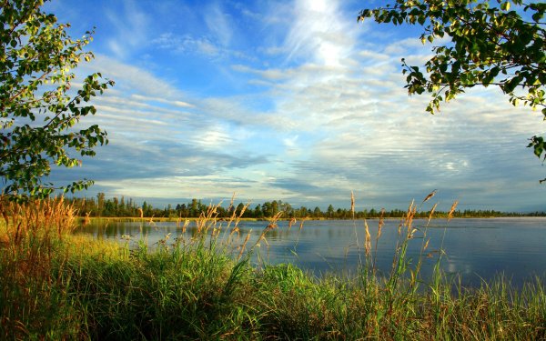 Озера ХМАО Югры пейзаж