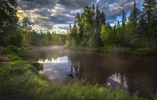 Таежные озера ХМАО