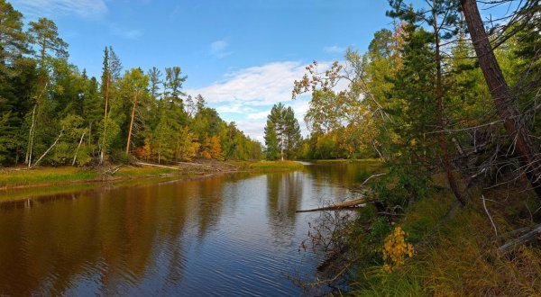 Таежные речки ХМАО