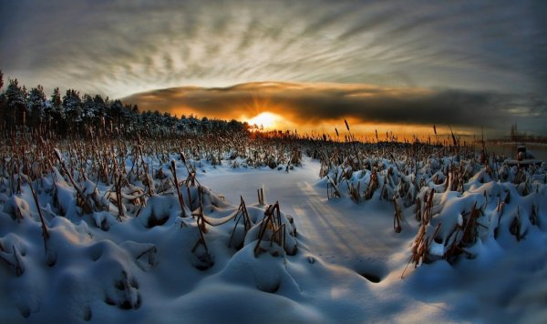 Юганский заповедник климат