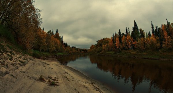 Природный заповедник Юганский