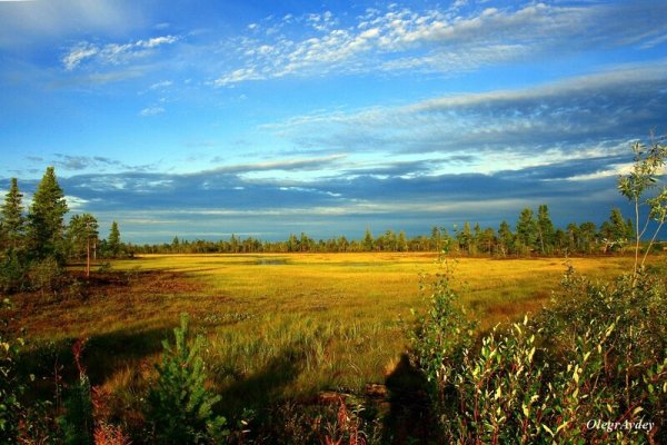 Природа родного края ХМАО Югра