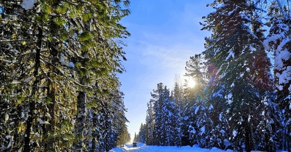 Нягань зимник