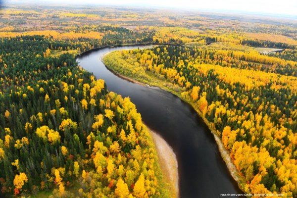 Саранпауль реки