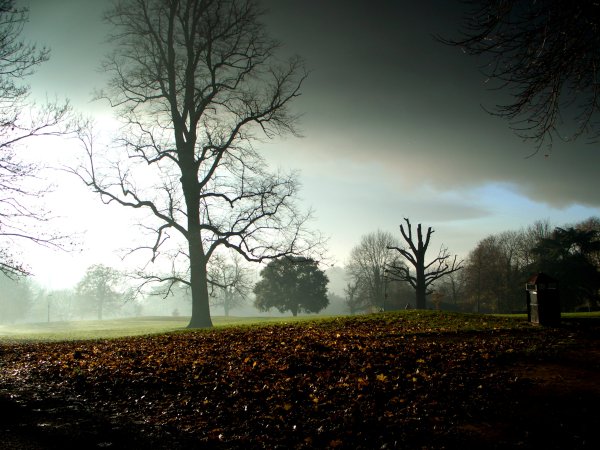 Пейзаж контраст