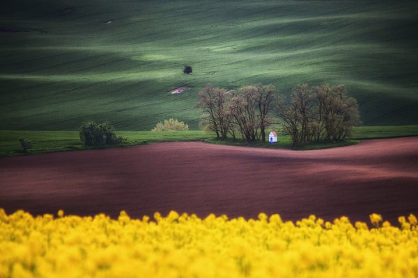 Контрастная фотография пейзаж