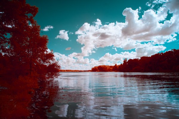 Красивый контраст