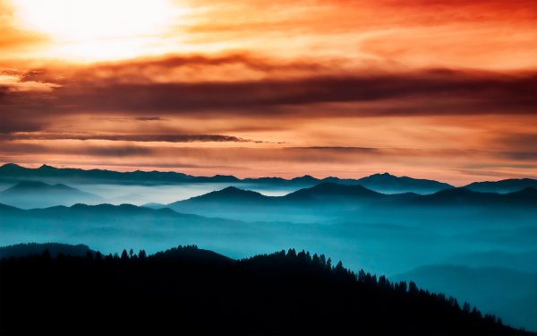 Лес и горы на горизонте