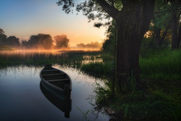 Контрастный пейзаж фото