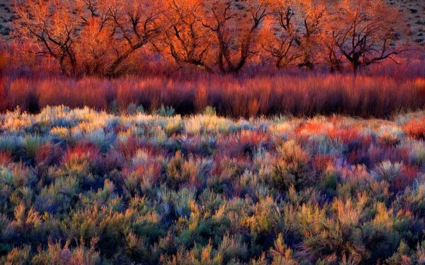 Фотограф пейзажист Марк Адамус