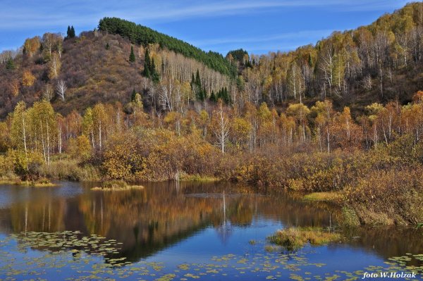 Кемеровская область — Кузбасс осень природа