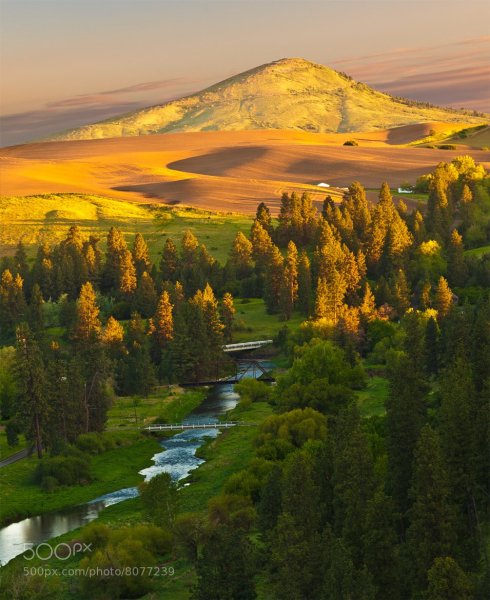 Лес штата Айдахо