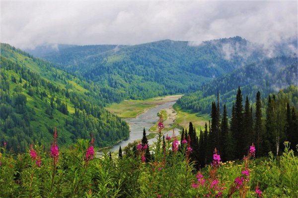 Кузнецкий Алатау заповедник Междуреченск