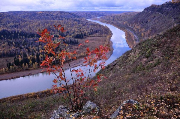 Природа Кузбасса Кемерово