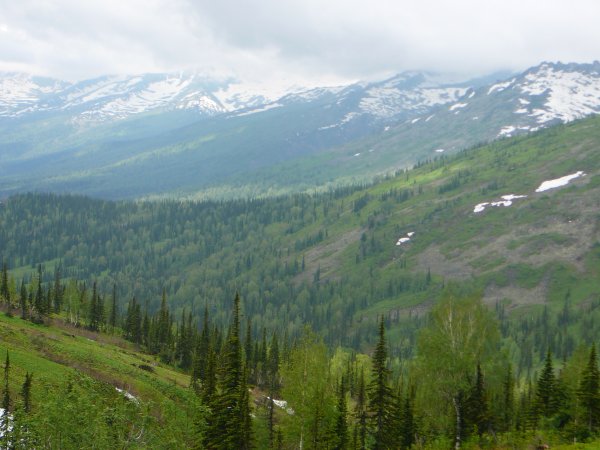 Растительность таежного Кузнецкого Алатау