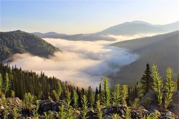 Заповедники Кузбасса Кузнецкий Алатау