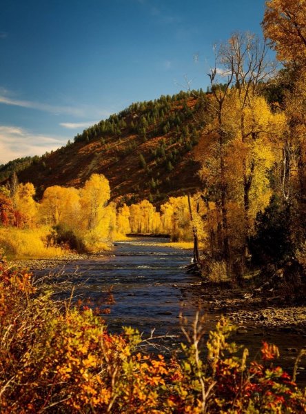 Природа Кузбасса осень