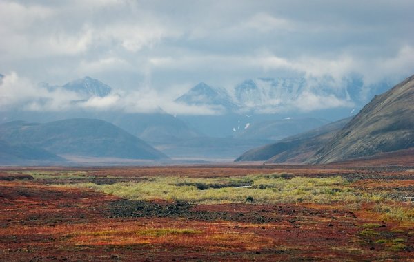 Дальний Восток Горная тундра