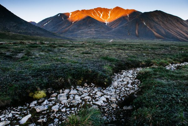 Чукотка тундра