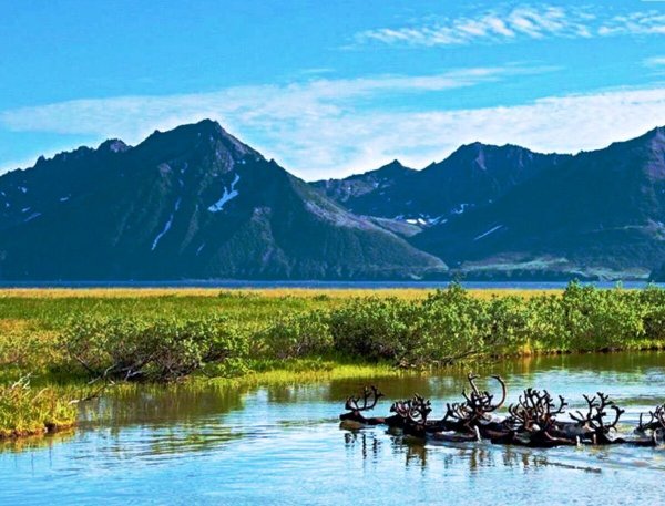 Чукотский автономный округ природа
