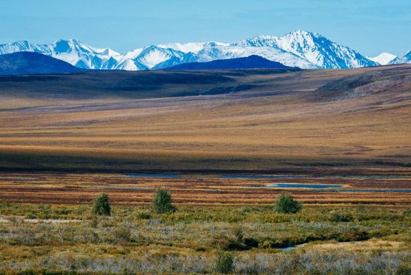 Гора линлигай Чукотка