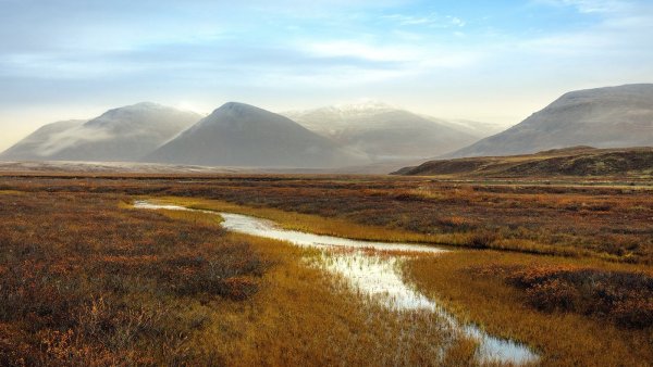 Чукотка тундра