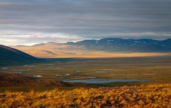 Чукотское тундровое Нагорье