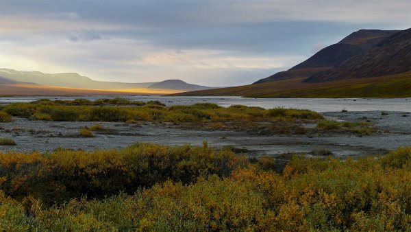 Чукотское тундровое Нагорье