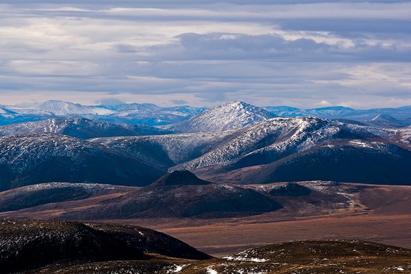 Чукотское Нагорье природа