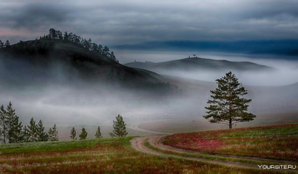 Русский лес лучшие фото Россия Чукотка