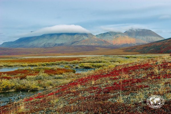 Воркута тундра летом