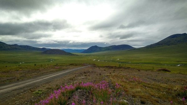 Чукотка Эгвекинот тундра