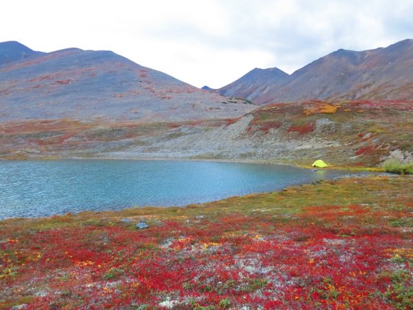 Тундра Чукотка Анадырь