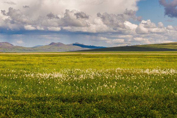 Лето на Чукотке